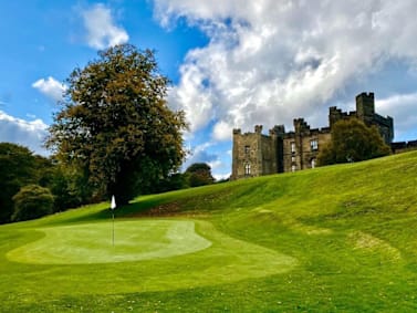 Golf green with a flag near a large castle and a tree.