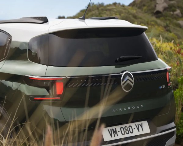 rear of a car parked in bush