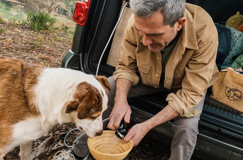 close up of a man giving water to a dog