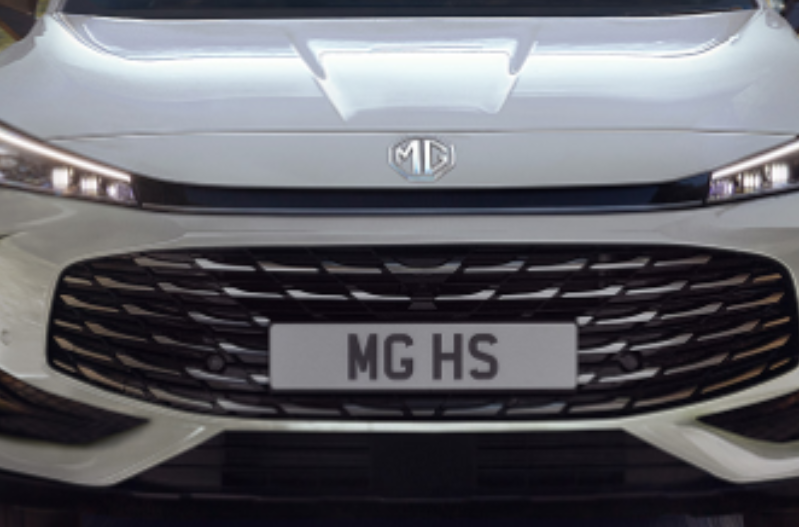 front of the grille